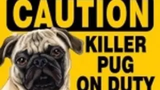 Call of Duty Black Ops 2 Short Clip: The Clutching Pug #2