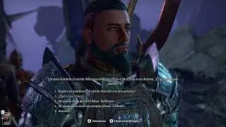 Baldurs Gate 3 - Accesing to the Shadowfell / Balthazar Fight / Nightsong /@LarianStudios