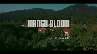 Mango Bloom Resort - Riverside Resort, Jim Corbett, Uttarakhand 👌