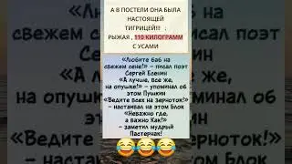 #юмор #шуточное