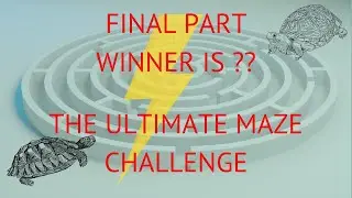 Tortoise Maze Challenge: Will Zippy or Flippy Take the Crown? 🐢👑Part 2 Zippy!!