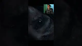 первый труп | UNTIL DAWN | 2024