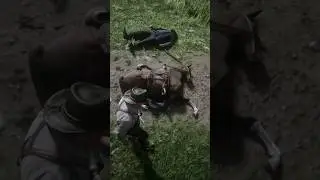 Horse Crash kills Civilian and Horse! #rdrd2