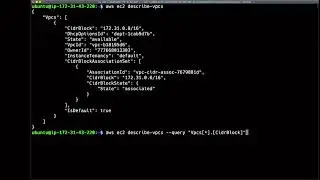 AWS CLI Query and Filter