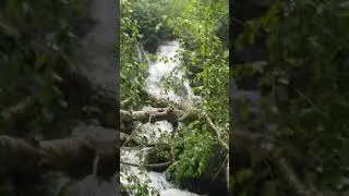 Spruce flat falls