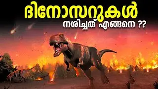 ദിനോസറുകൾ എവിടെ പോയ് ?? എന്ത് സംഭവിച്ചു ?? WHAT HAPPENED TO DINOSAURS | MALAYALAM | AF INFO SHOW