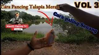 Cara Pancing Ikan Talapia/Tilapia Merah丨Cara Paling Senang丨How To Catch Red Tilapia