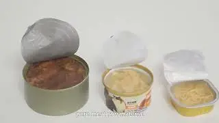 Complete Cat Nutrition Solutions &ndash; Dry Food, Cans, Strips & Freeze‑Dried Treats
