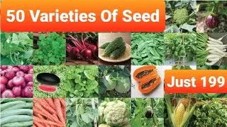 50 Varieties Of Seeds Ugaoo| June Me Konsi Sabji Lagaye | Which vegetable to plant in June