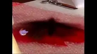 Graciela Costanza - Bienvenidas TV - Realiza en fieltro Flores y Cordón de Falda.