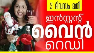 3 ദിവസത്തിൽ Instant Grape Wine 😍 | Homemade Grape Wine Malayalam