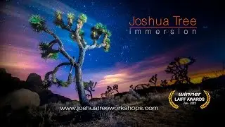 Joshua Tree Timelapse / Immersion 2015