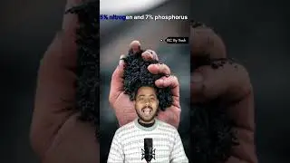 Meet the Farmer&rsquo;s Best Friend Earthworm&rdquo;#farming#ytshorts #facts #trend #vermicompost #education