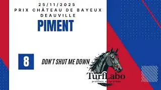 َPronostic du quint&eacute; du 25 Nov Ch&acirc;teau de Bayeux #quint&eacute; #turf #tuyau #tocard #plat #pmu #deauville