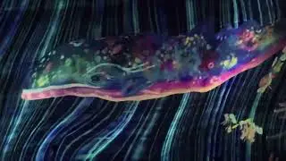 #Macao 🇲🇴 #Macau #CotaiStrip The Venetian Macao | teamLab SuperNature | full video tour.