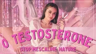MTF Testosterone Calming & Estrogen Focus | Hormone Harmony