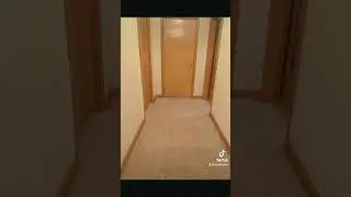 Carpet~Hot Water Extraction 🥶😱