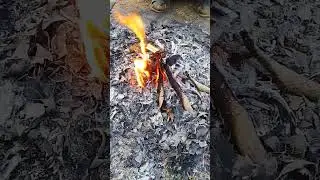 Jo Tumhe Chahe Us Ko Song From The Movie Dilwale#village #goviral #shortvideo