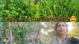 Mere Bagan Me Itne Sare Hari Sabjiyan Hai🤩