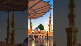 ban ke sarkar ka mahman madine me rahe hai #short#video #viral