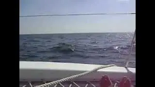 sailing on SeaQuell