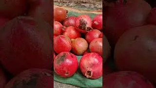 our  farm  promg te#explore #viral#🍑🍑