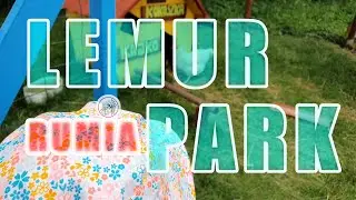 Lemur Park 🐒 | Rodzinny Park Rozrywki | Rumia 🇵🇱 Polska