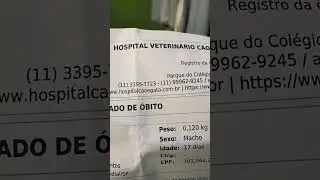 Tristeza, BEOCCA,teve uma parada cardio respirat&oacute;ria 😭😭😭😭