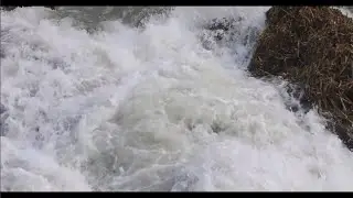 Natural White Noise: Powerful Ocean Waves for Tinnitus Relief and Insomnia 🌊✨