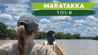 Discover Maratakka River in Suriname | Wildlife & Jungle Adventure