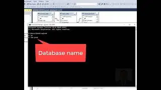 How to display data from view in sql Server in command prompt