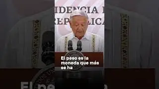 Mensaje de AMLO por el 5to Informe de Gobierno - N+ #amlo #quintoinforme #mexico