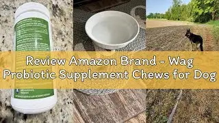 Review Amazon Brand - Wag Probiotic Supplement Chews for Dogs, Supports Digestive Health and Gut Flo