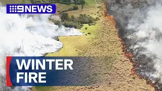 Grassfire causes traffic on Hume Highway in Sydney&rsquo;s south-west | 9 News Australia