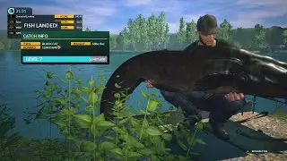 Dovetail Games Euro Fishing xbox one big catfish