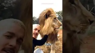 The Unique Bond Between Humans & Wild Animals That Touches the Heart