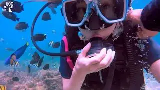 [ASMR]Scuba diving/Under the sea/Bubbles sound