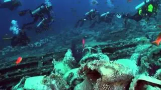 Shark & Yolanda Reef