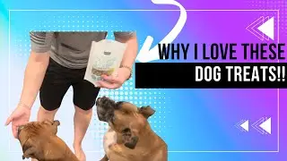 Review of Freeze Dried Fish Dog Treats