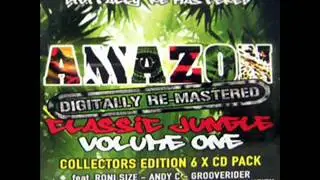 Dj Micky Finn And Dj Ray Keith Amazon Classic Jungle