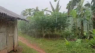 SUASANA PEDESAAN | papajar sambil botram di perkampungan diiringi gemuruh hujan