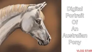 Digital portrait of an Australian pony