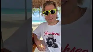 Jake the Fake Reads Real Monksee Reviews | No BS Streetwear