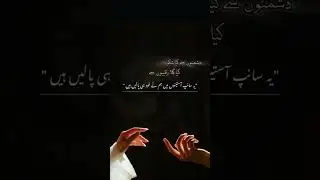 #punjabi #quotes #winter