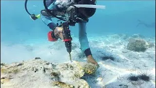 Surviving Climate Change (Engl. subs/by CTGN Africa)