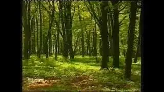 Ostpreu&szlig;en: Emelis verlorene Heimat