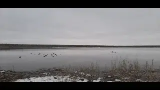Осенняя охота на уток в Якутии 2021 г Досадные промахи!
