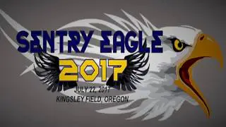 Sentry Eagle 2017 ad