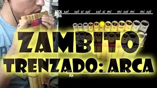 Tuntuna Zambito - ARCA (trenzado)