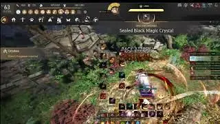 PvE Grinding Guide Awake Musa 810 Gs #blackdesert #blackdesertonline #pve #grinding #MMORPG